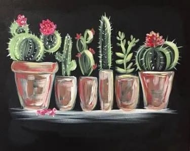 Cactus-collection-ii